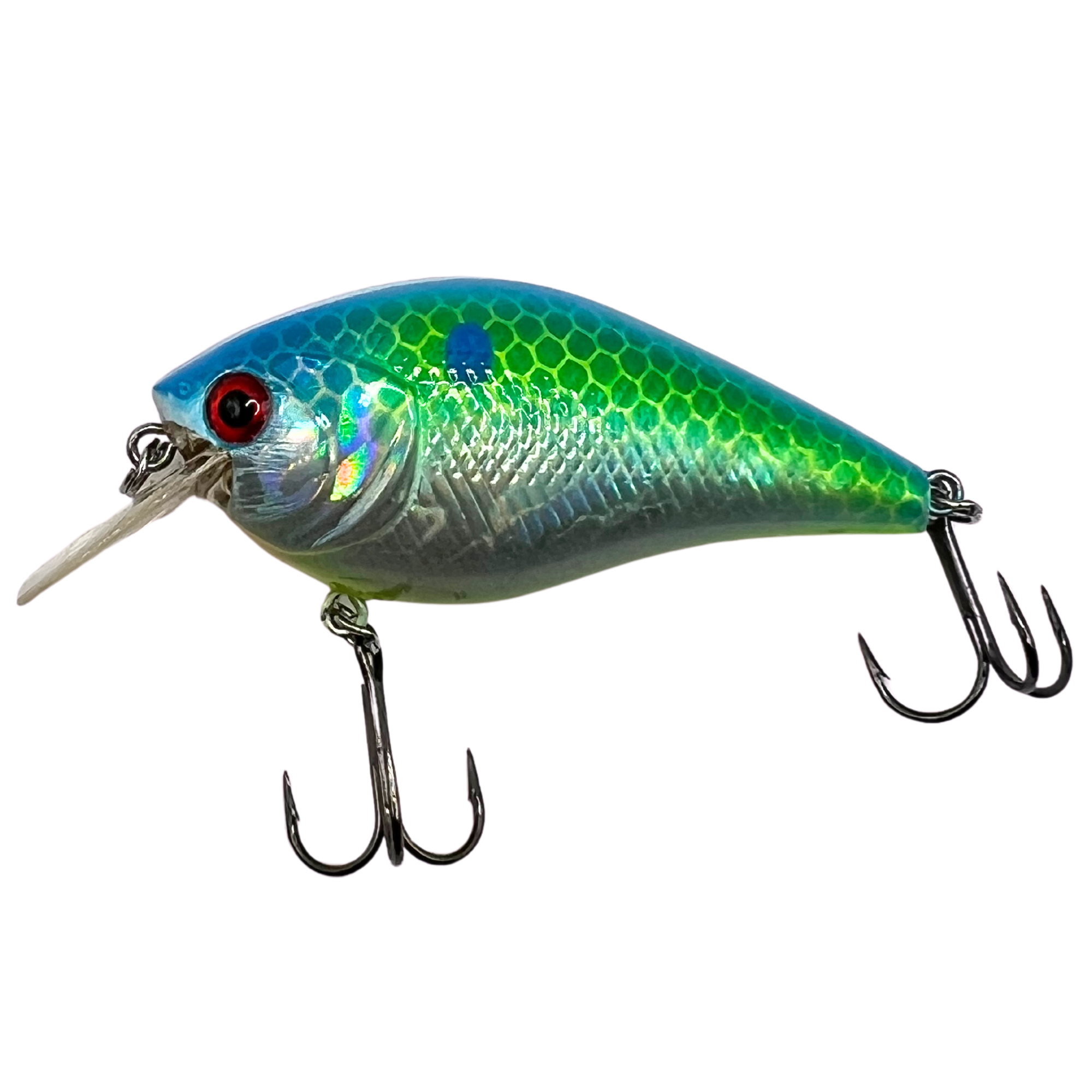 Fishkool's Cory Hasler's Signature Series | Citrus Shad Crankbait