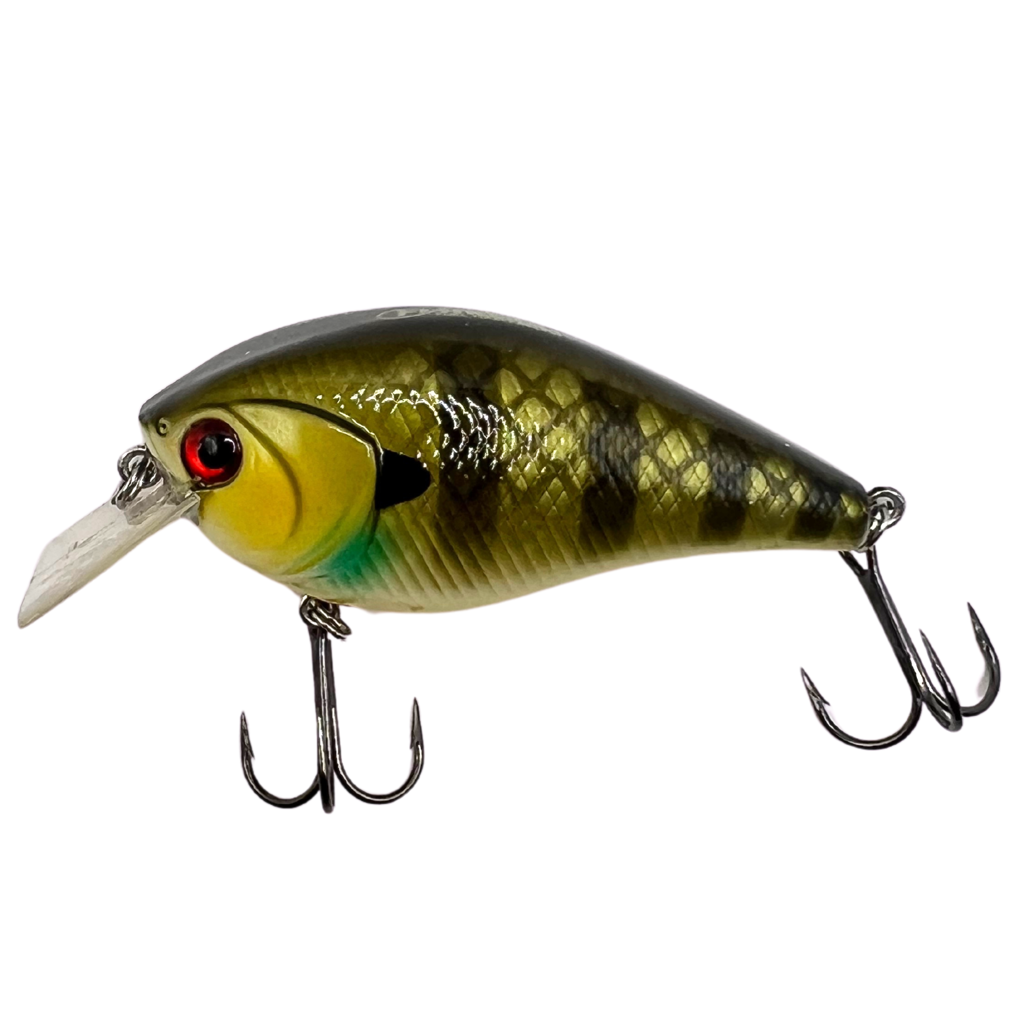 Fishkool's Cory Hasler Signature Series | Bluegill Crankbait